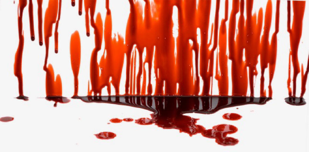 Resultado de imagen de sangre